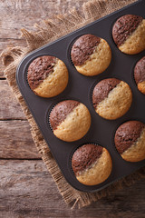 hot colorful cupcakes in a baking dish. Vertical top view