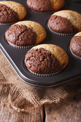 colorful muffins in baking dish from the oven. vertical