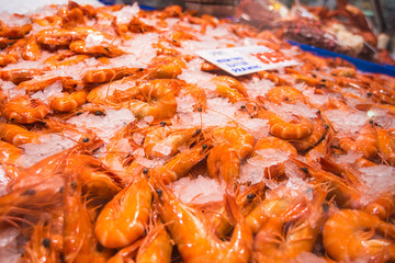 Fresh Shrimps