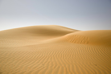 Fototapeta na wymiar Sand dunes, weaves of dust in a beautiful desert