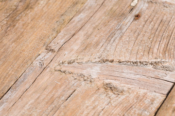 Wooden texture, wood background
