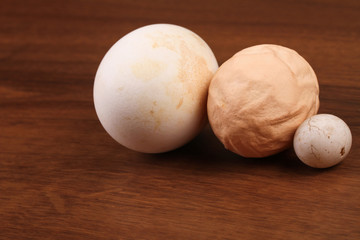 The Domestic eggs Goose and dove egg