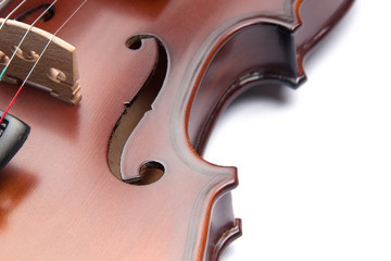 violin