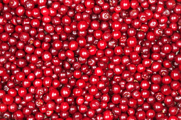 red cherry