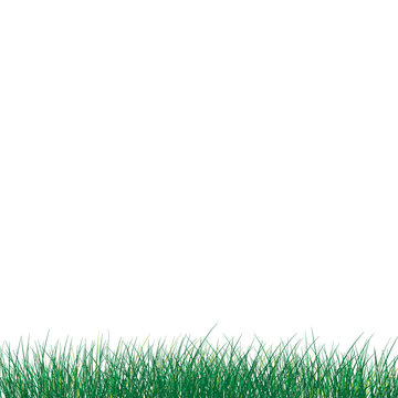 Vector mockup, grass lawn