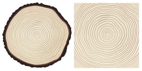 Naklejka premium Colour saw cut pine tree trunk and tree rings background