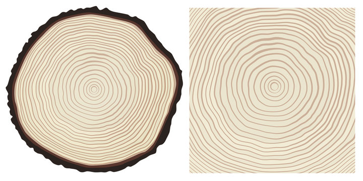 Colour saw cut pine tree trunk and tree rings background