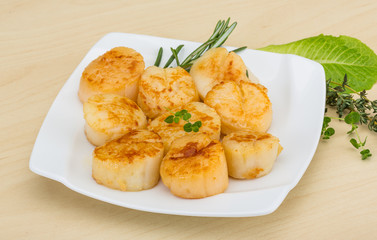 Grilled scallops