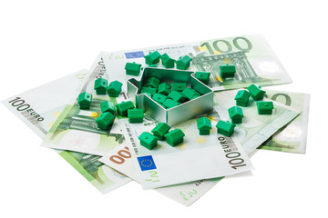 Small toy houses and money