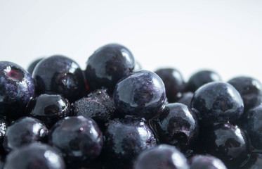 Blueberry Pile