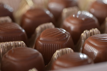 Closeup chocolates placed in plastic holder
