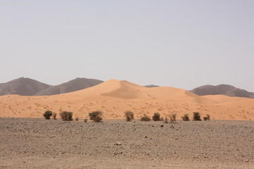 Paysage du Maroc 17