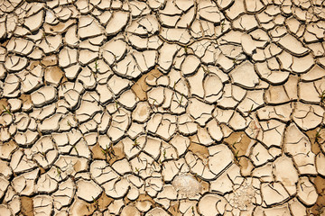 pattern of dry ground