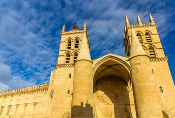 Montpellier Cathedral of Saint Pierre - France, Languedoc-Roussi