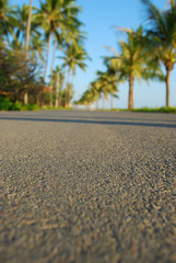 road near the beach