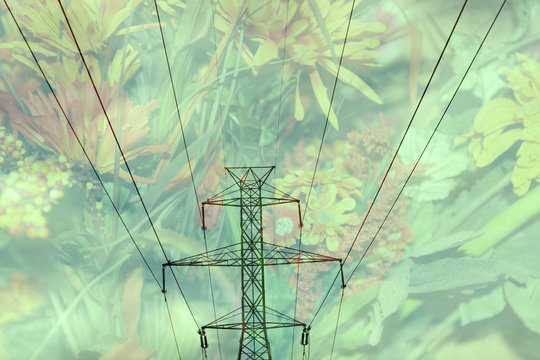 Double Exposure High Voltage Power Lines With Flower Background