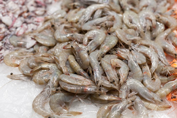 Display frozen prawns for sale at a market, La Boqueria Market