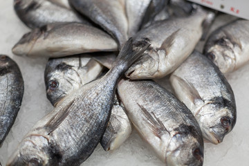 Heap of frozen sea beams for sale at a market stall, La Boqueria