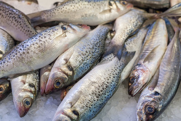Heap of frozen horse mackerels for sale at a market stall, La