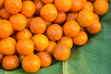 Mandarin oranges