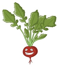 radish
