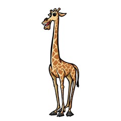 Obraz premium giraffe