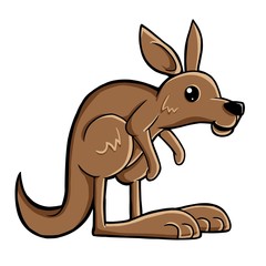 cute kangaroo