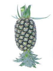 pineapple isolated on white