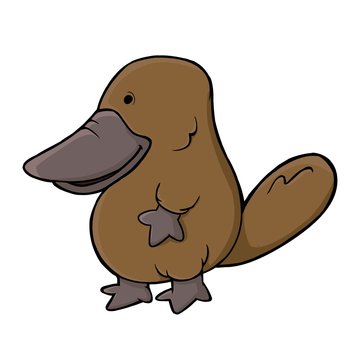 Platypus