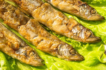 Grilled sardines