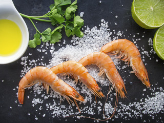 Shrimps on dark background
