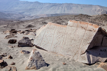 Toro muerto - Peru
