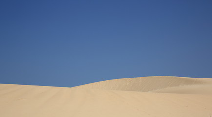 dunes en progession dans le désert de corralejo