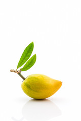 Egg fruit on white background , Canistel, Yellow Sapote .