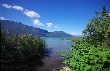 Fototapeta na wymiar lac du bourget - savoie