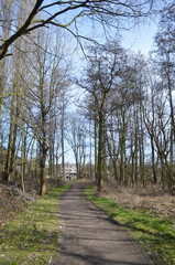 path in countryside