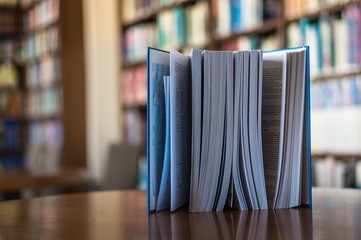 Standing book