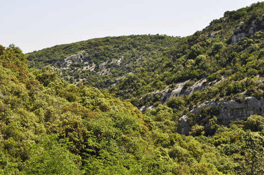 la garrigue