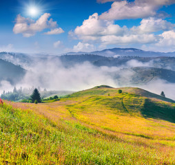 Obraz premium Colorful summer morning in the Carpathian mountain village.