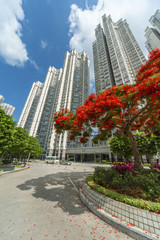 Fototapeta premium Residental buildings in Hong Kong