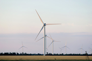 Fototapeta premium A wind farm in the wide spread field