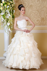 beautiful bride in a luxurious wedding dress