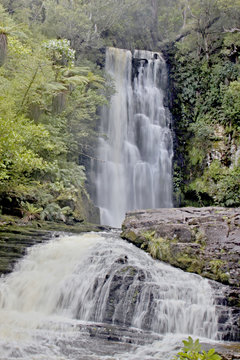 Mc Leanl  waterfall New Zealand in forest sout island