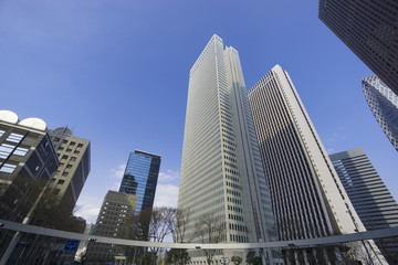 Fototapeta premium 快晴 青空 超広角で見上げる新宿高層ビル群