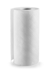 Paper towel roll