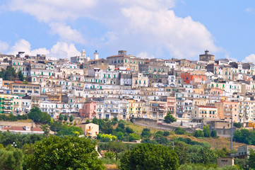 Fototapeta na wymiar Panoramic view of Minervino Murge. Puglia. Italy.