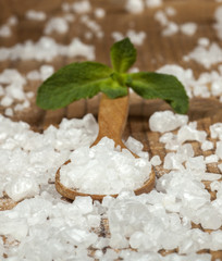 Sea Salt