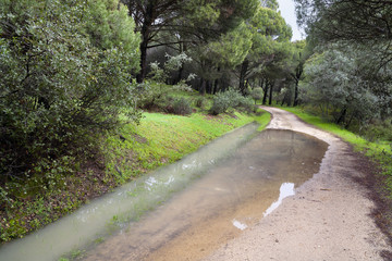 Camino de las Juntas. La Adrada