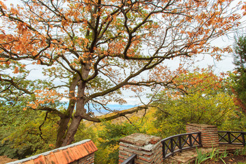 Fototapeta premium Alazani Valley