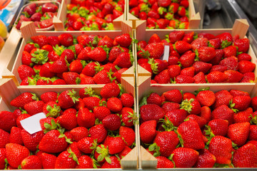 Strawberries on market